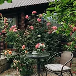 Klen Family Holiday home Mykulychyn