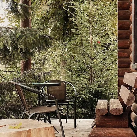 Holiday home Klen Family Mykulychyn