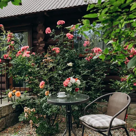 Klen Family Holiday home Mykulychyn