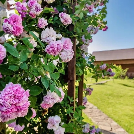 Holiday home Klen Family *